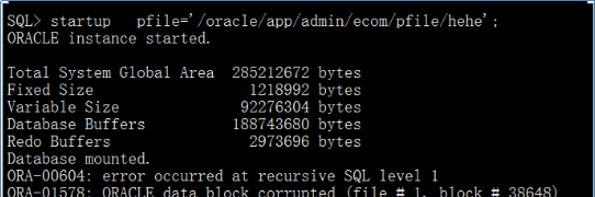 华为S5300存储Oracle数据库恢复成功案例